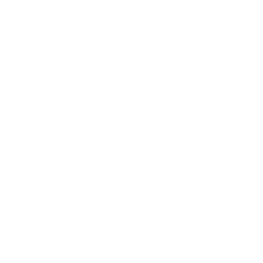 Coin Icon