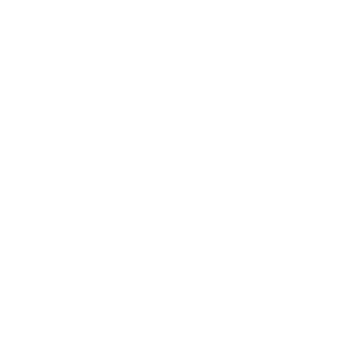 Coin Icon